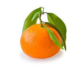 Image showing Tangerine isolated on white