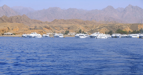 Image showing Yachts in Red Sea 