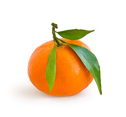 Image showing Tangerine isolated on white