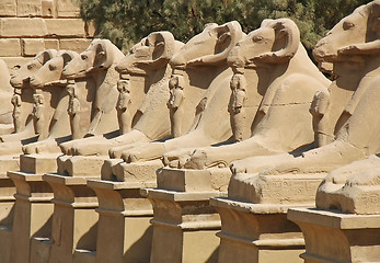 Image showing Avenue of sphinxes at Luxor, Egypt