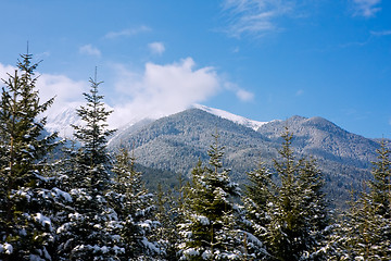 Image showing View of mountains panorama