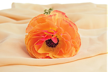 Image showing Orange flower on a scarf
