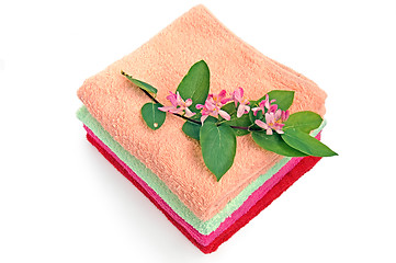 Image showing Pile towels
