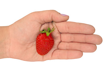 Image showing Strawberry on the palm