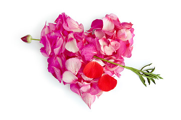 Image showing The heart of the flower petals