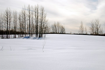 Image showing Winter sunset