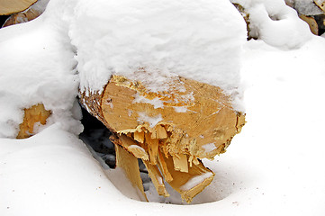 Image showing wood under the snow