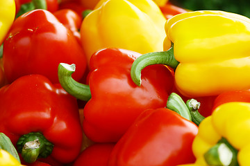 Image showing colorful pepper background