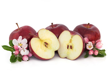 Image showing Apples and Flower Blossom