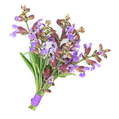 Image showing Sage Herb Flower Posy