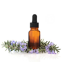 Image showing Rosemary Herb Essence