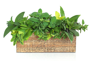 Image showing Herb Leaf Mixture