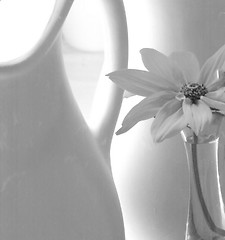Image showing jugs and flower