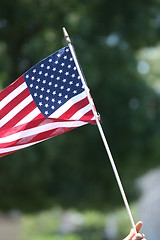 Image showing American Flag