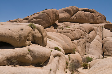 Image showing Jumbo Rocks
