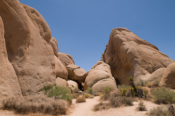 Image showing Jumbo Rocks