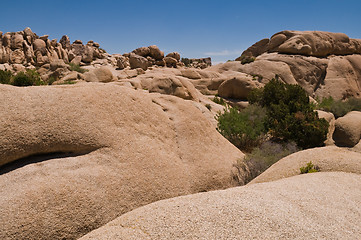 Image showing Jumbo Rocks