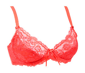 Image showing Rose bra pledge