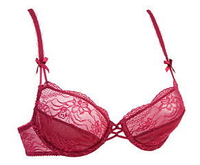 Image showing Crimson bra pledge insulated