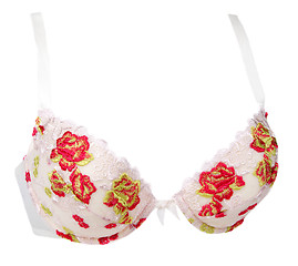 Image showing Rose lace volume bra