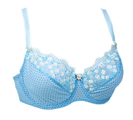 Image showing Blue bra with pattern