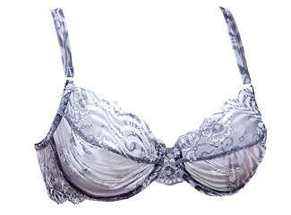 Image showing Bra volume straps