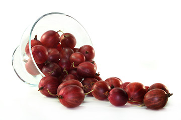 Image showing Gooseberries