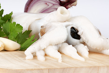 Image showing Raw cuttlefish with herbs