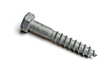 Image showing One screw isolated on white