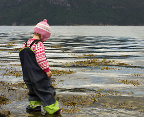 Image showing Child wading