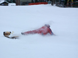 Image showing Toboggan Crash