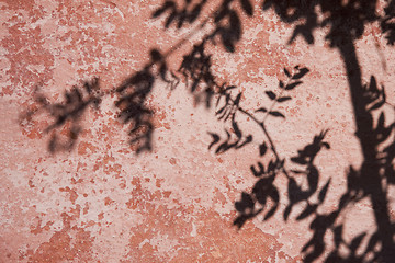 Image showing Shadow on the wall