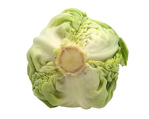 Image showing Cabbage