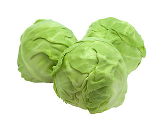 Image showing Cabbages