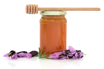 Image showing Lavender Honey