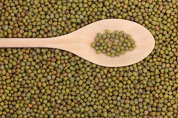 Image showing Mung Beans