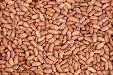 Image showing Pinto Beans