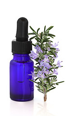 Image showing Rosemary Herb Essence