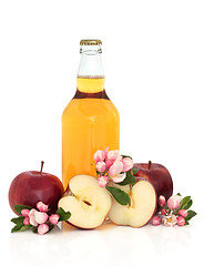 Image showing Cider, Apples and Flower Blossom