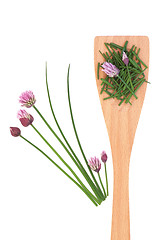 Image showing Chives Herb with Flowers