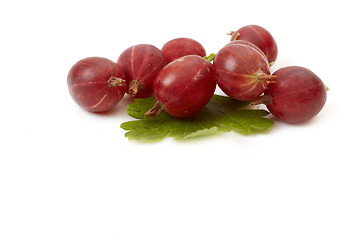 Image showing Berries of gooseberry