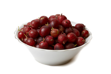 Image showing Berries of gooseberry