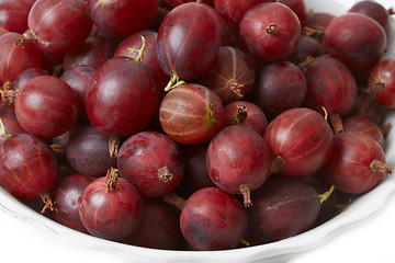 Image showing Berries of gooseberry