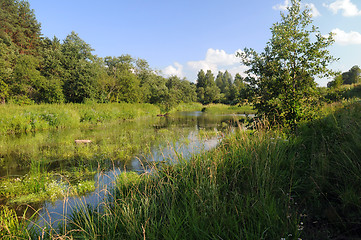 Image showing Overgrown River in Central Russia