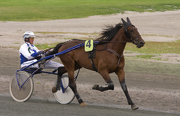 Image showing Trotting race