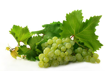 Image showing Grapes