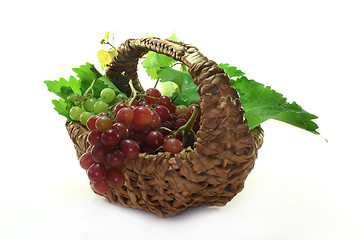 Image showing Grapes