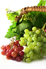 Image showing Grapes