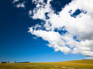 Image showing scene of the meadow