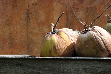 Image showing Large exotic dried fruit against an rust brown wall